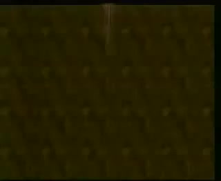 《窦公训女》田立禾、王文玉