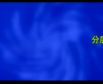 【总裁三法宝】分层授权vs分层负责01