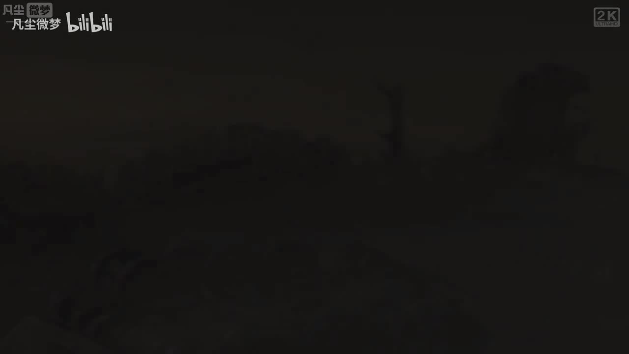 诺曼底登陆11：贺比魁蒙