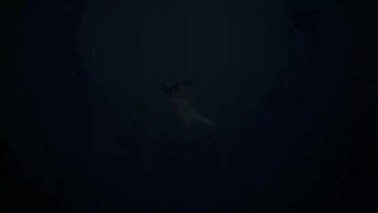 【洛天依】追光使者