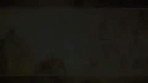 第117讲 病机（九）