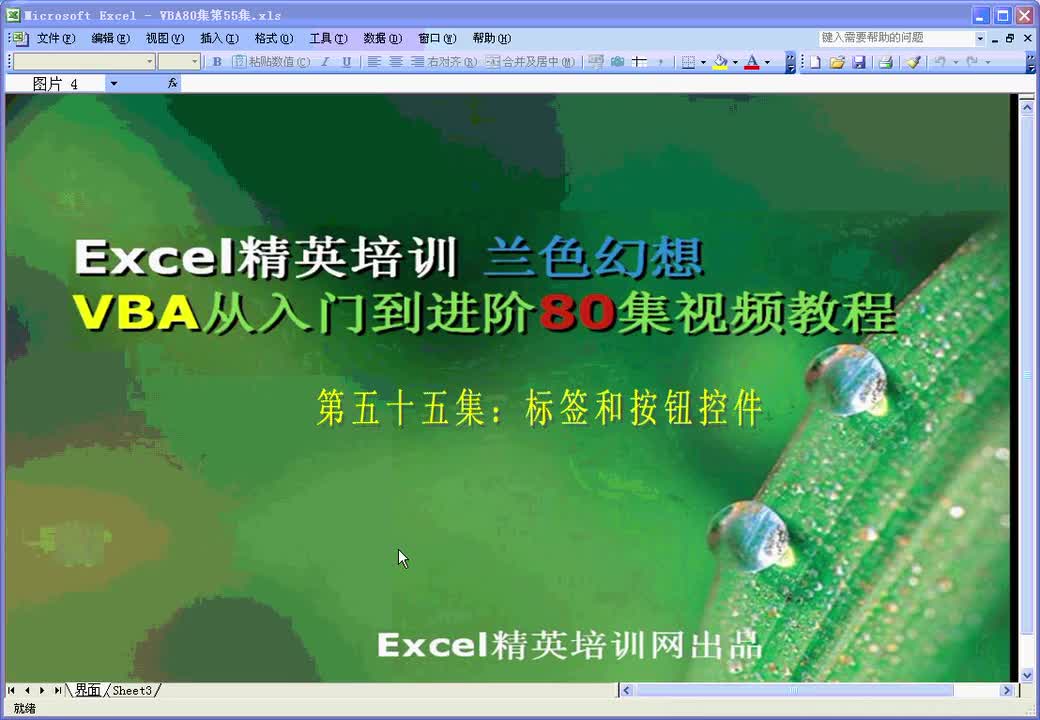 第55集：标签、按钮