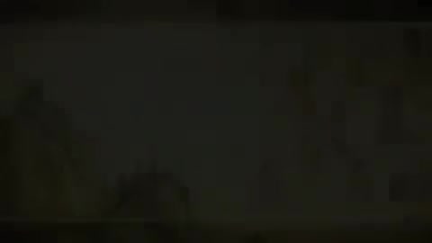 第92讲 病因（二）