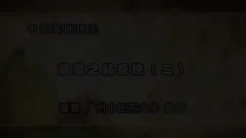 第32讲 藏象之肺系统（二）