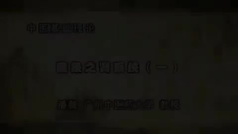 第46讲 藏象之肾系统（一）