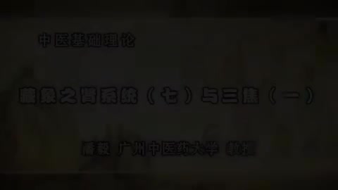 第52讲 藏象之肾系统（七）与三焦（一）