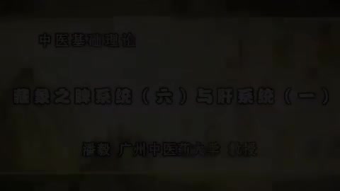 第40讲 藏象之脾系统（六）与肝系统（一）