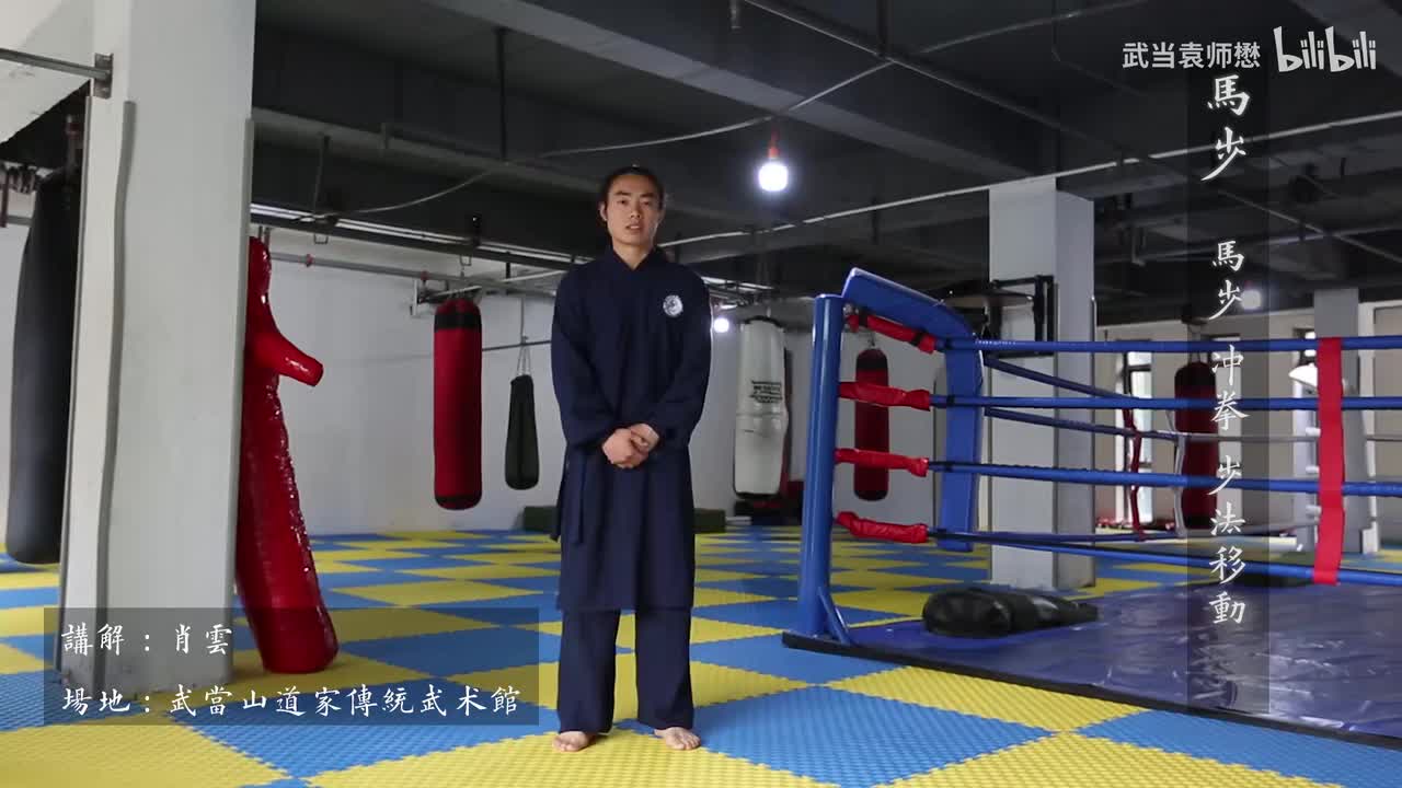3马步冲拳巩固步法移动讲解