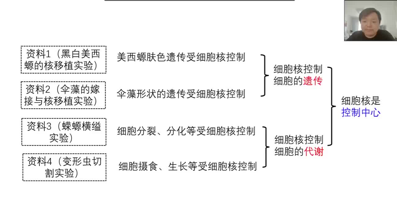 （三）细胞核的结构