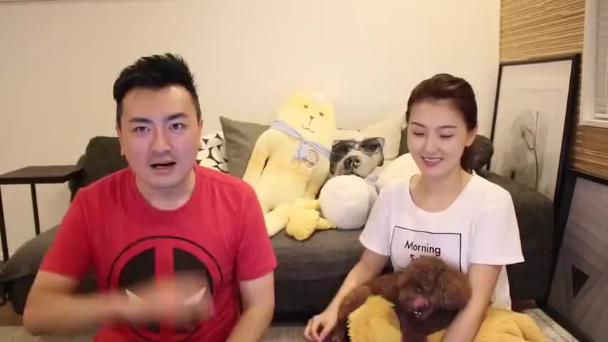 【老高与小茉】看得見摸得著卻無法解釋，世界上最大的謎團，第一集