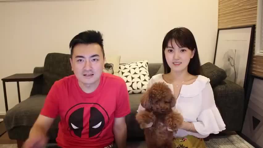 【老高与小茉】 跳電車后消失的“人”