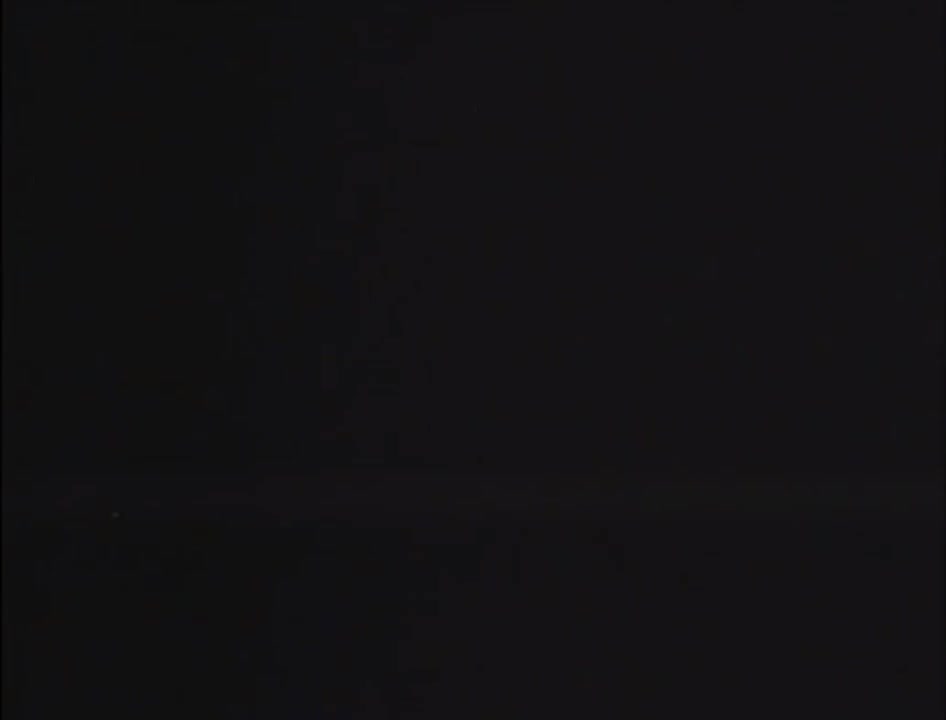 迎春花（国语）