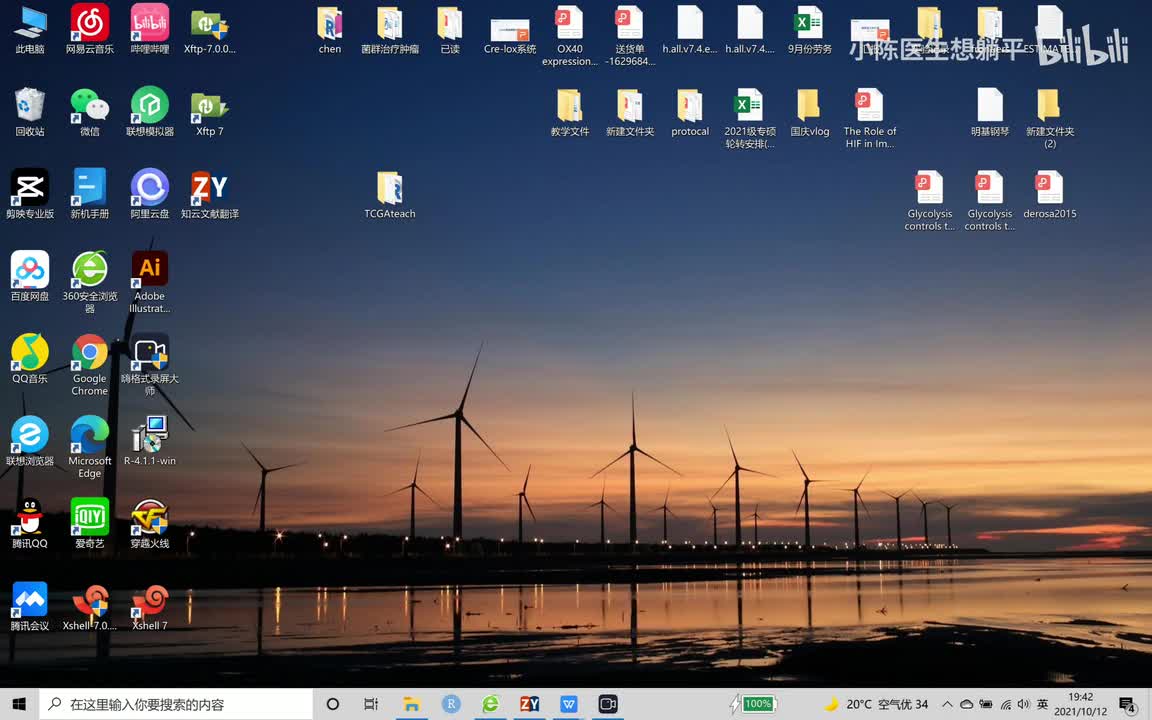 13 CIBERSORT免疫细胞比例