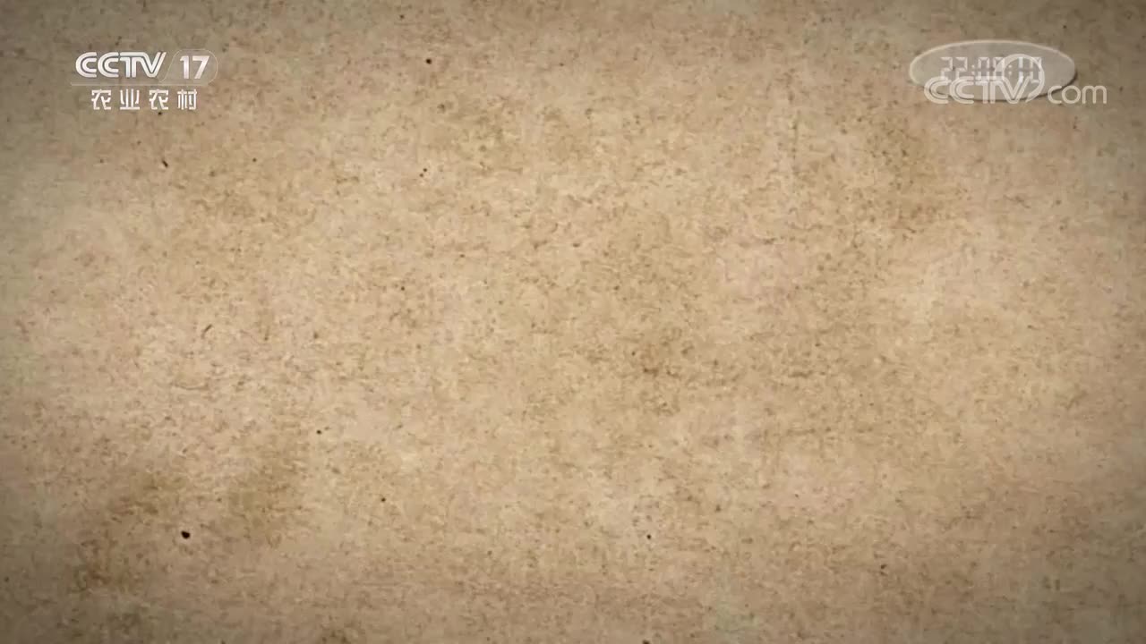 第一集 图谱传奇