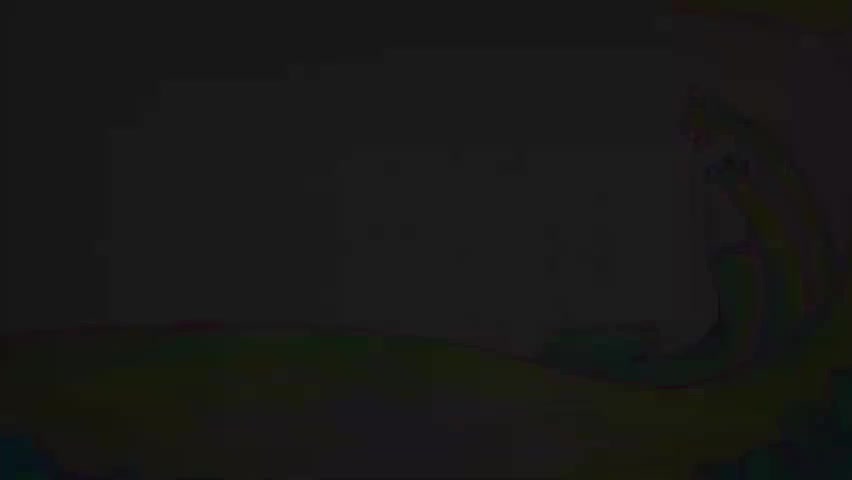 如果我是一只动物-p13-第13集 如果我是疣猪