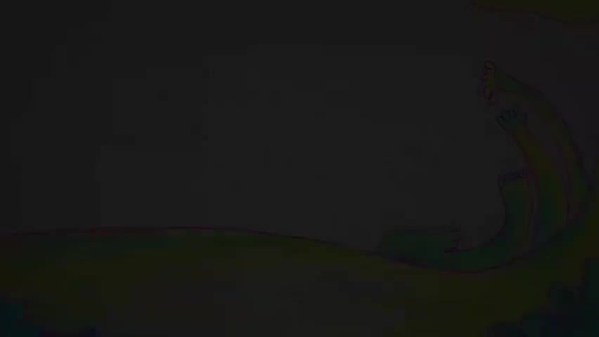 如果我是一只动物-p45-第45集 如果我是老虎