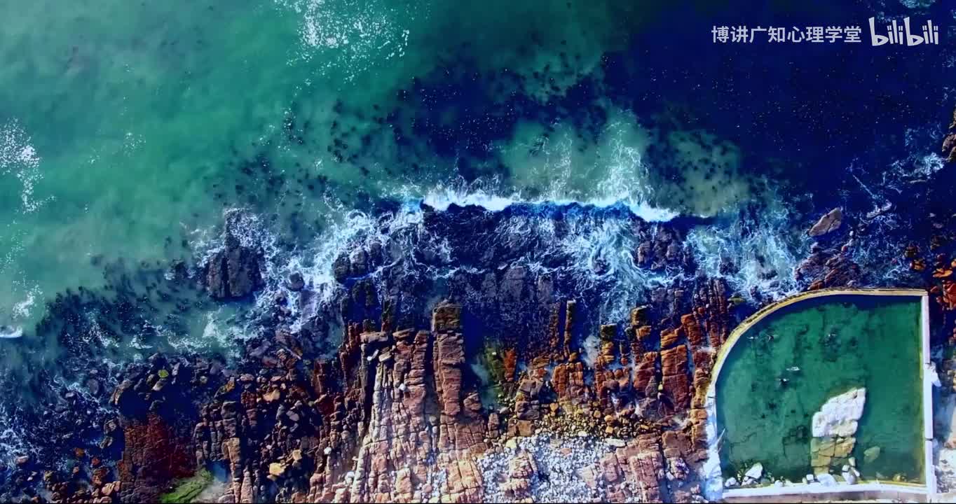 24第二十四天正念冥想引导拓展练习：用心理学拓展自我潜能，创造无限可能，治愈焦虑，解压助眠，缓解生活和工作压力，找到人生的新方向