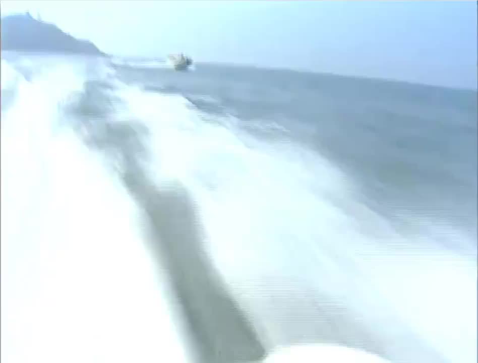 万紫千红迎新春