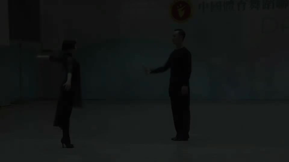 伦巴 双人 金星一级组合