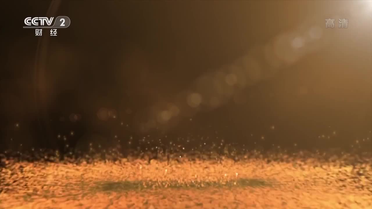 4.《资本的力量》_第四集_规范之道