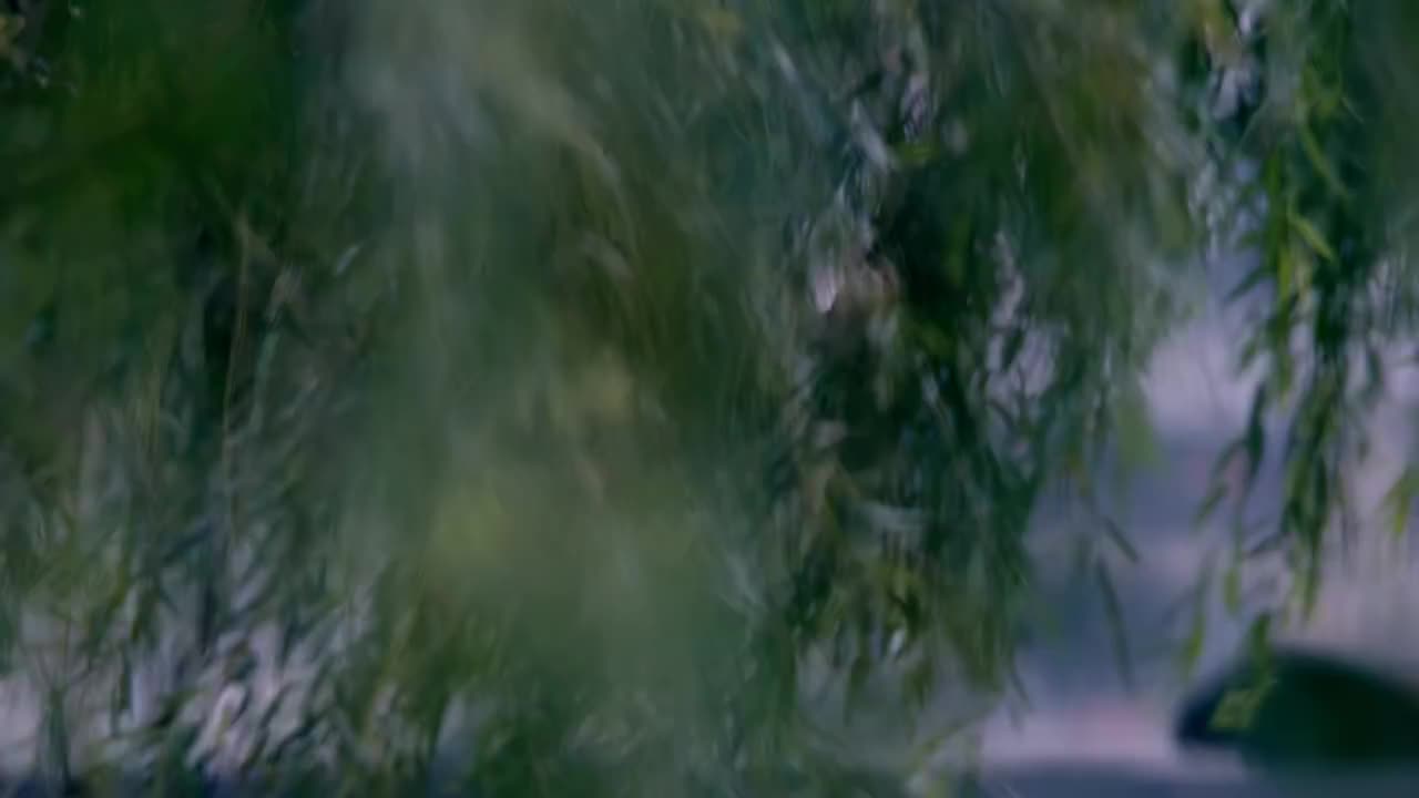 【哎哟,不错哦】天涯过客4K