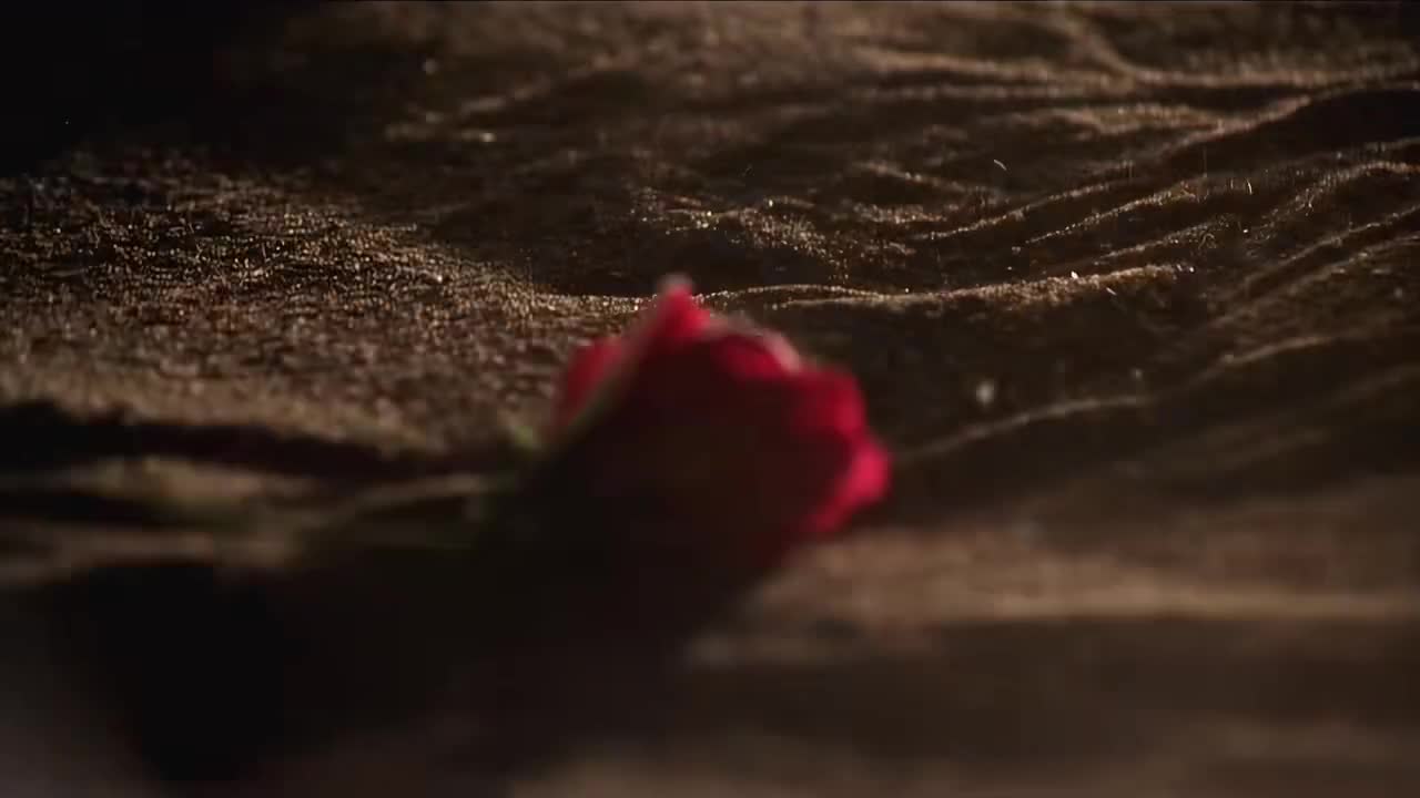 【画沙】With.袁咏琳2009