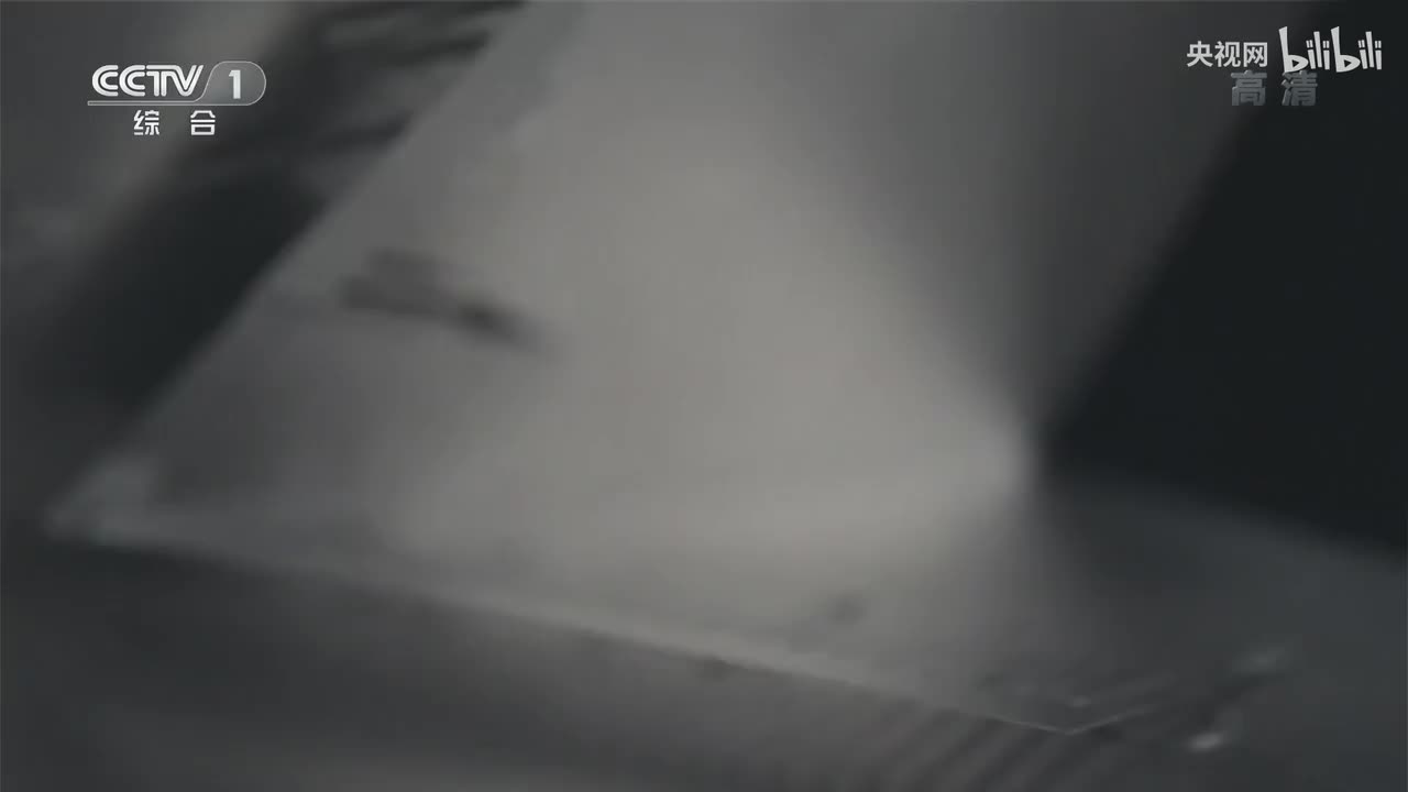 第2集 打虎拍蝇