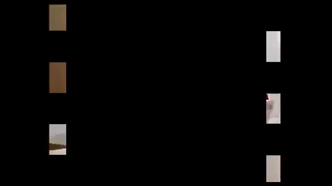 第八章：看到春天