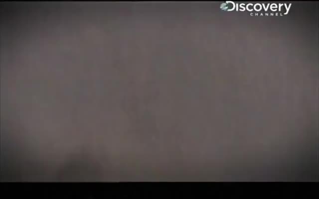 1917俄国大革命02