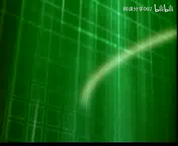 13观察叶片的结构