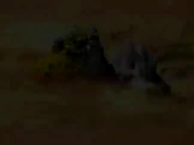 荒唐知县不糊涂（1）