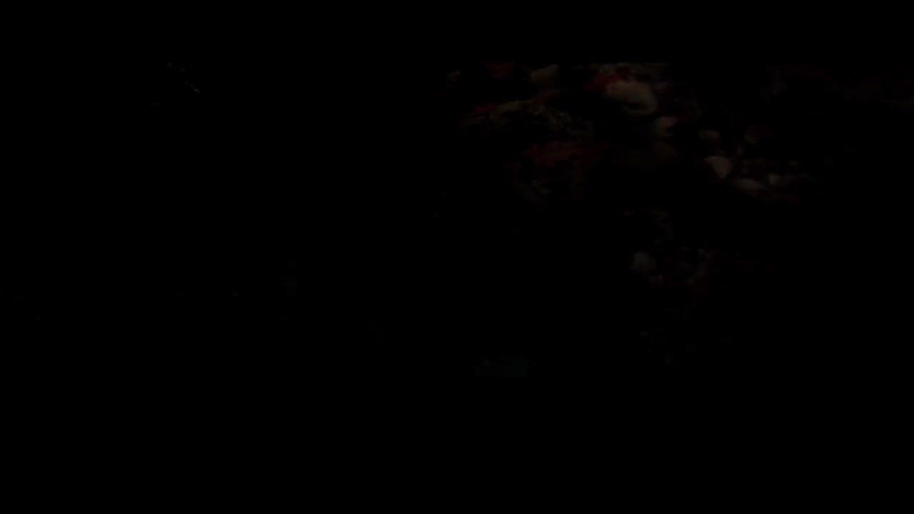 盗国之战