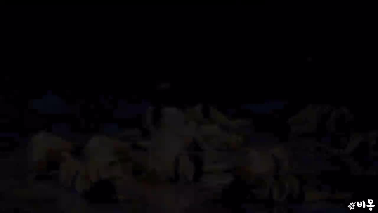 190105 SOLO [143w] 33届金唱片 白月光【©BIMONG】