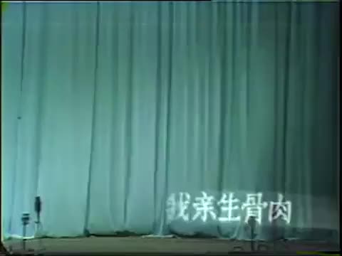 陈文学 桃李梅