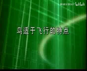38鸟适于飞行的特点