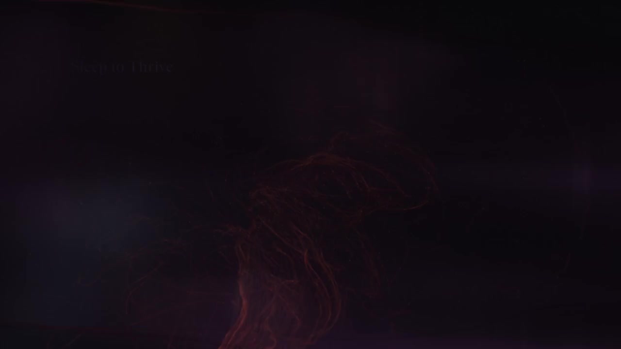 13 睡眠引领成功