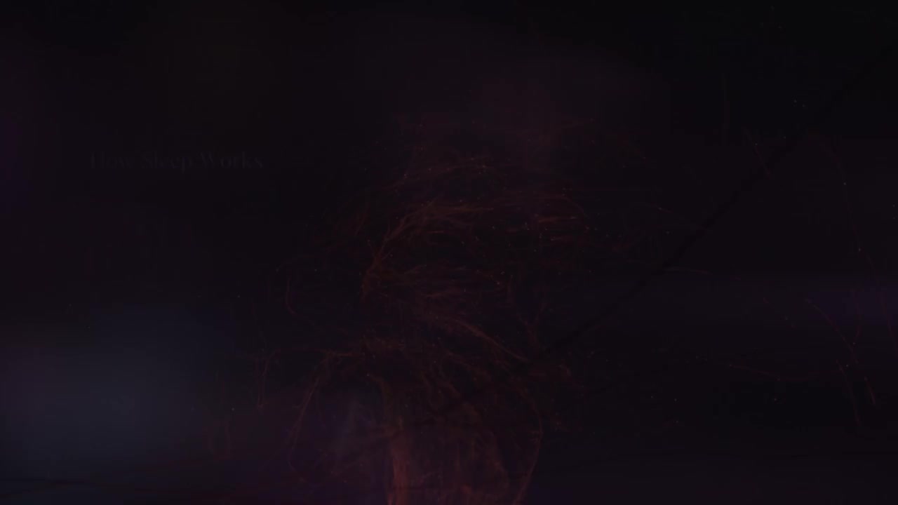 3 睡眠是怎么工作的