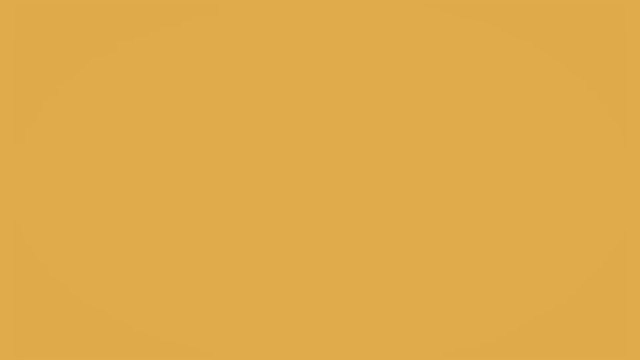 24.【教养理念】加餐课7：什么是真正的无条件的爱？