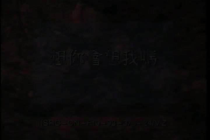 想你会想我吗