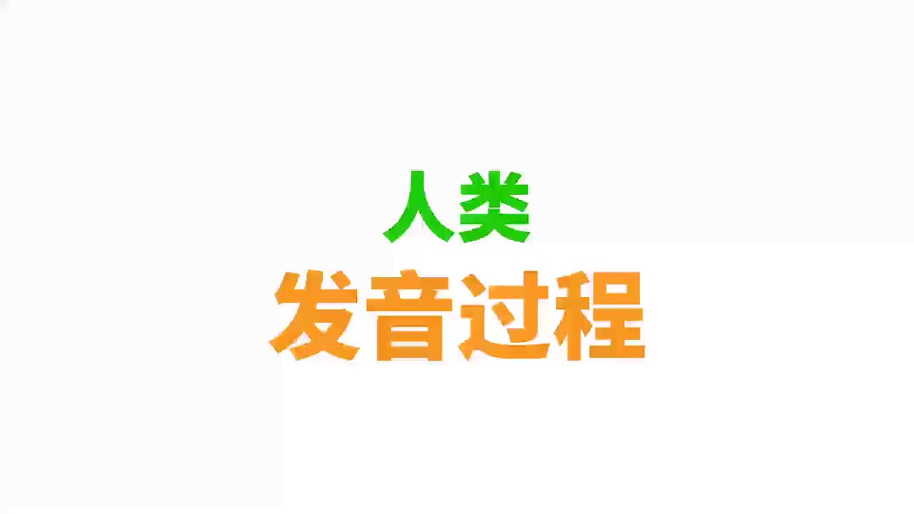 人类发音过程