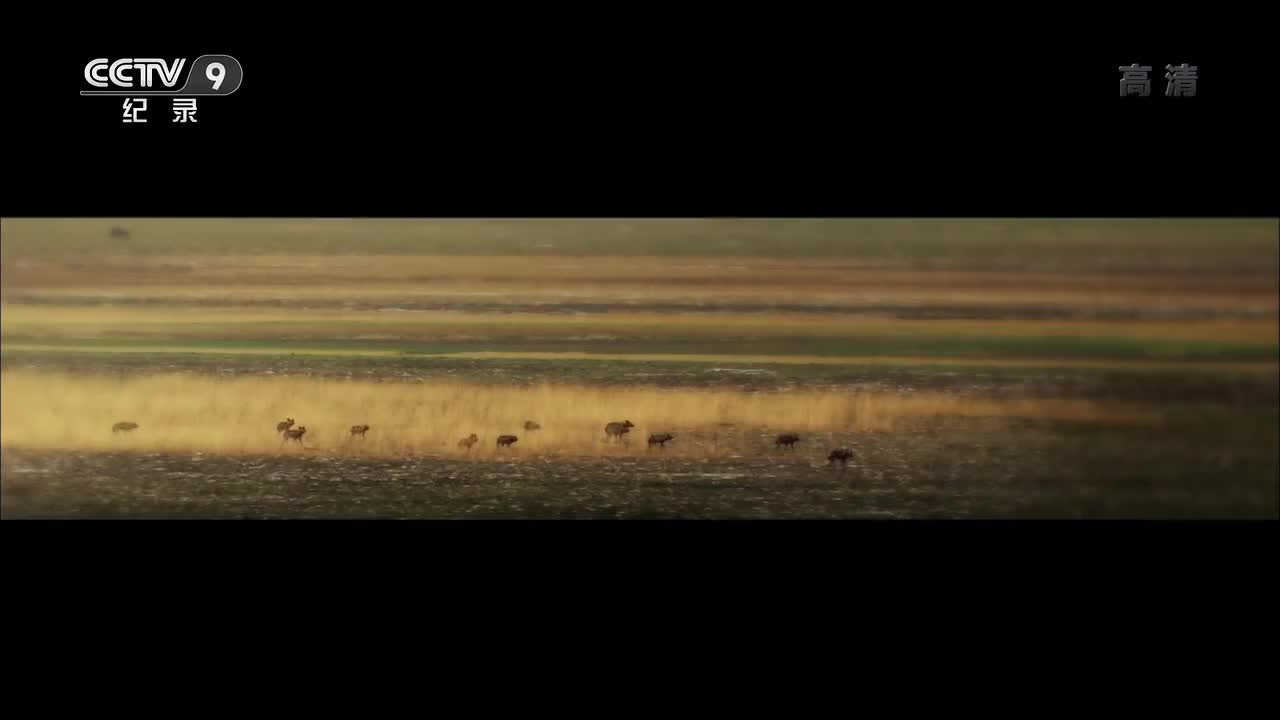 01 最艰难的挑战