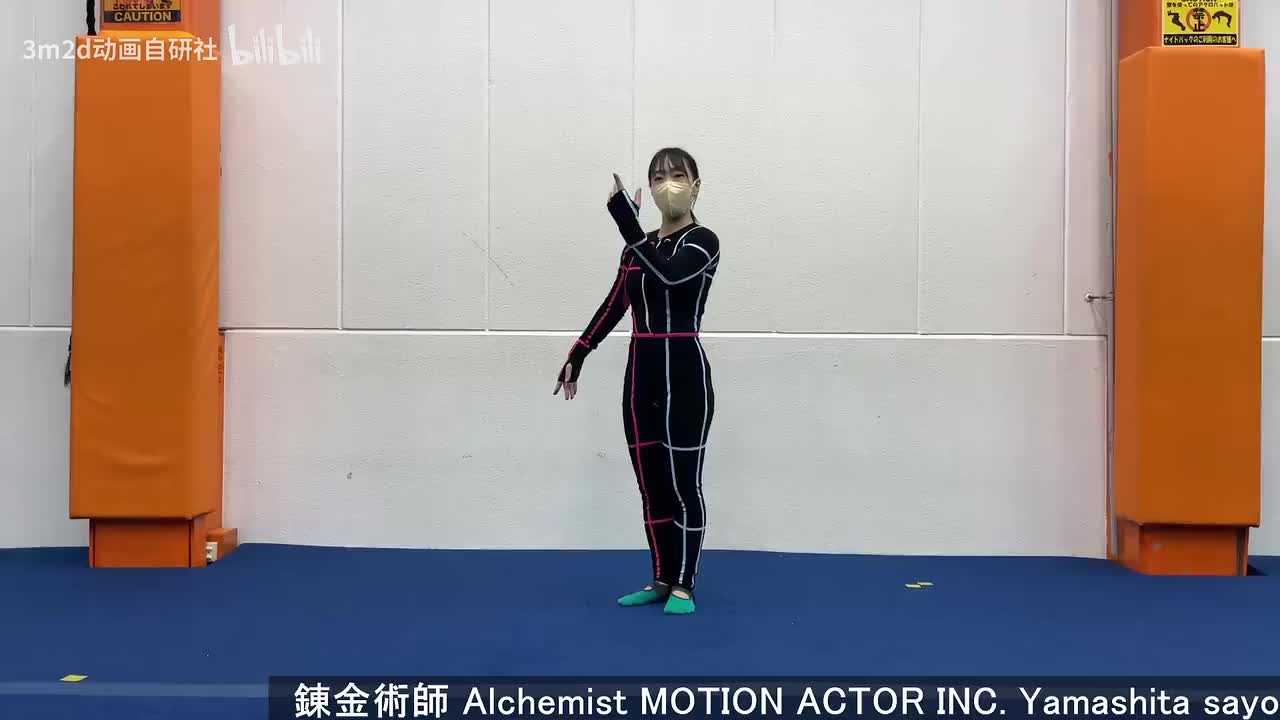 【战斗待机】炼金术士[pose参考]