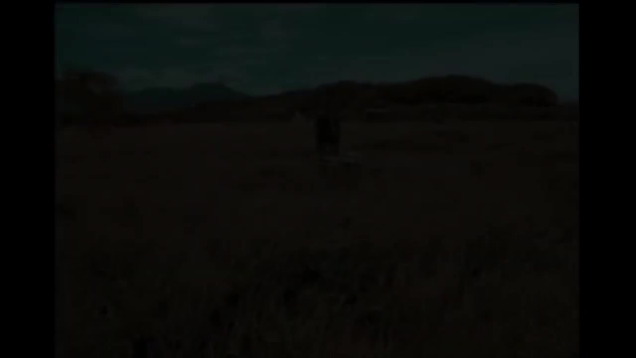 35 月亮代表谁的心【专辑：黑色柳丁】