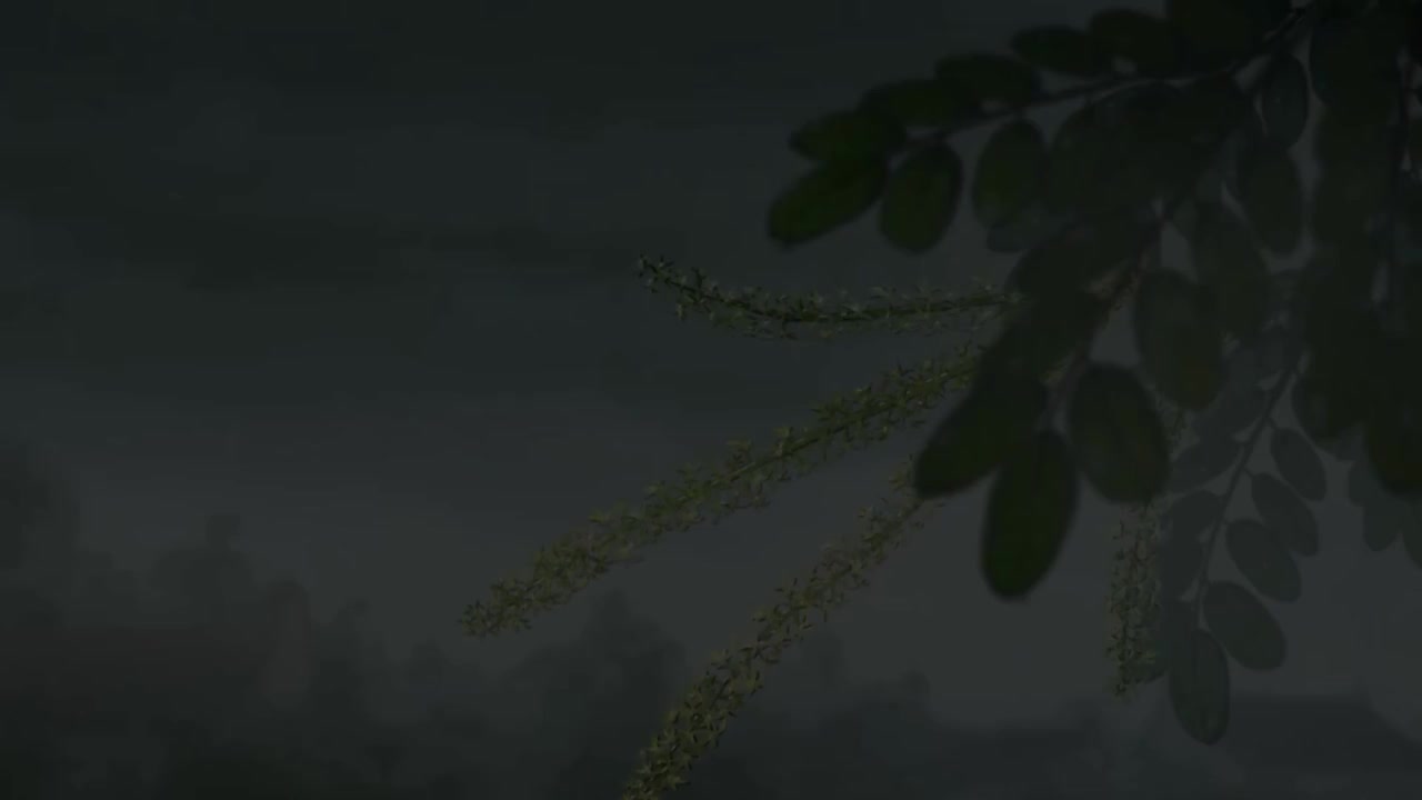 第18话 《中国唱诗班》_高清 1080P