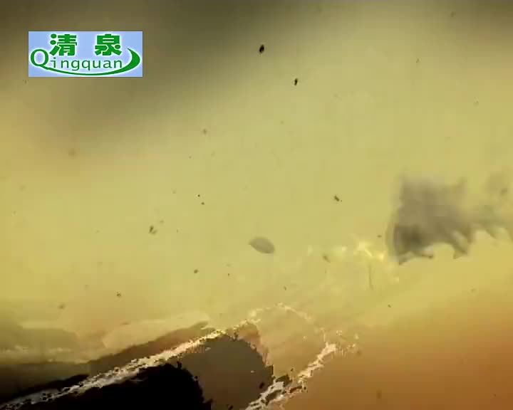 豫剧《三打金枝》金不换、徐福先