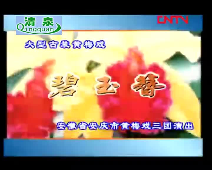 黄梅戏《碧玉簪》 汪莉 刘国平