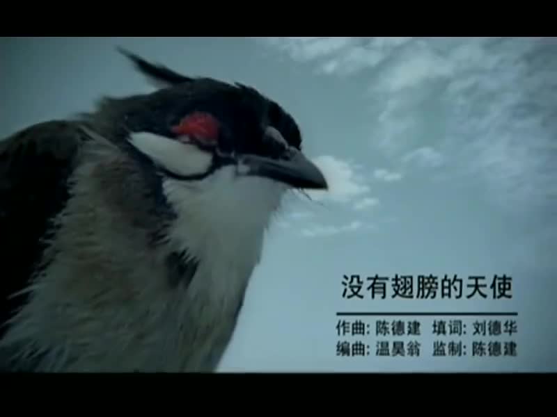 刘德华经典歌曲MV大合集-37-刘德华-没有翅膀的天使