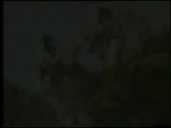 黄梅戏《郑小姣》