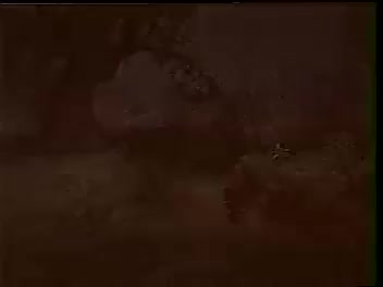 黄梅戏《七仙女与董永》汪静