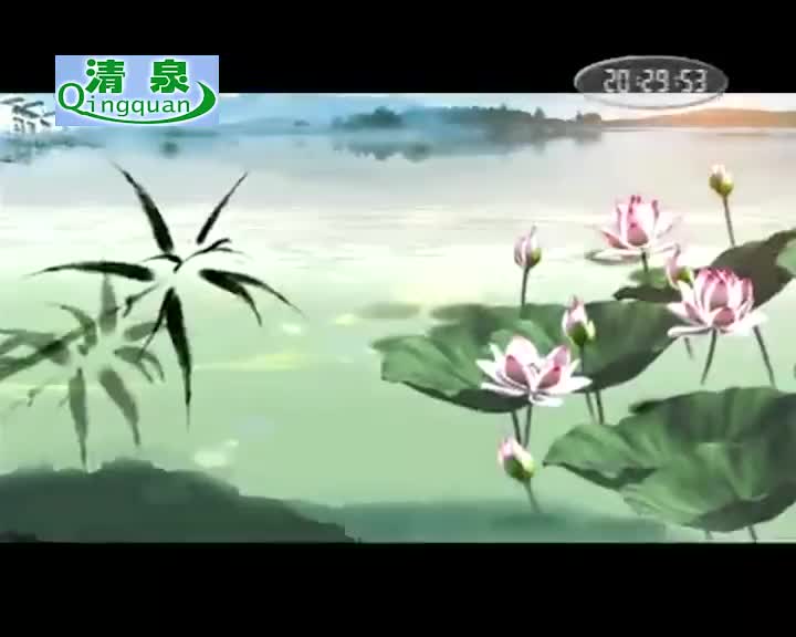 黄梅戏《阿珍》童玲红 王文华